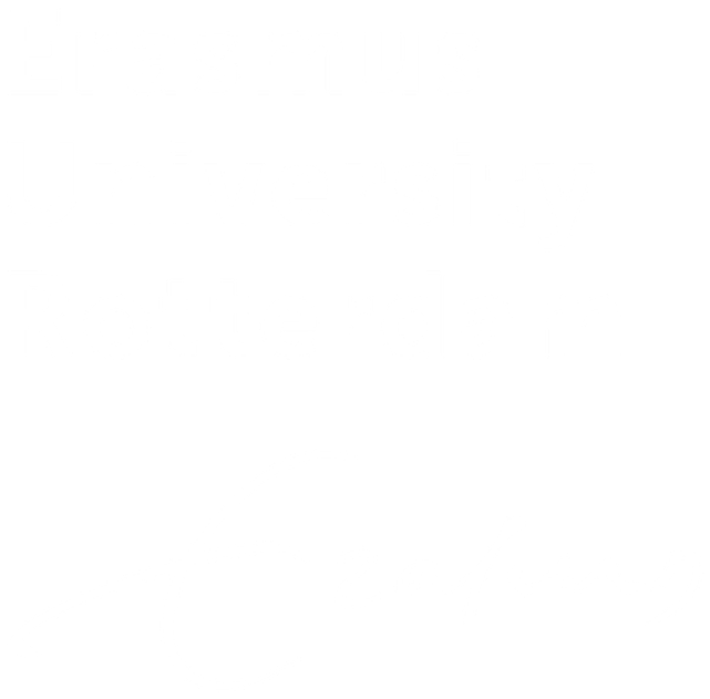 Erasmus University Rotterdam